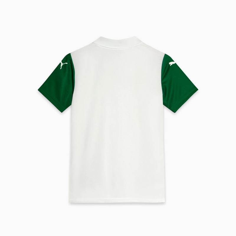 Kit Infantil Palmeiras Il s/n Puma 25/26